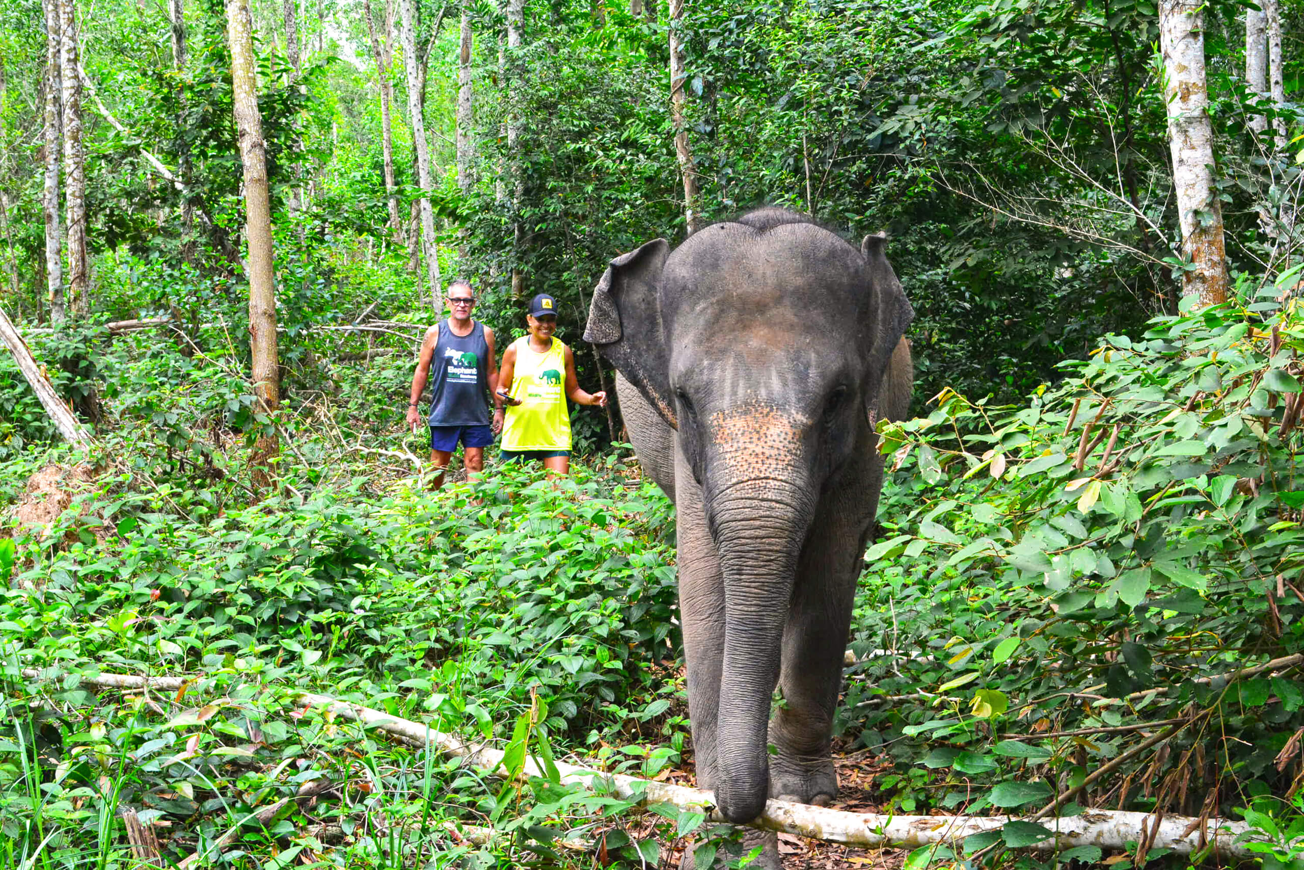 Couple’s Elephant Care Experience