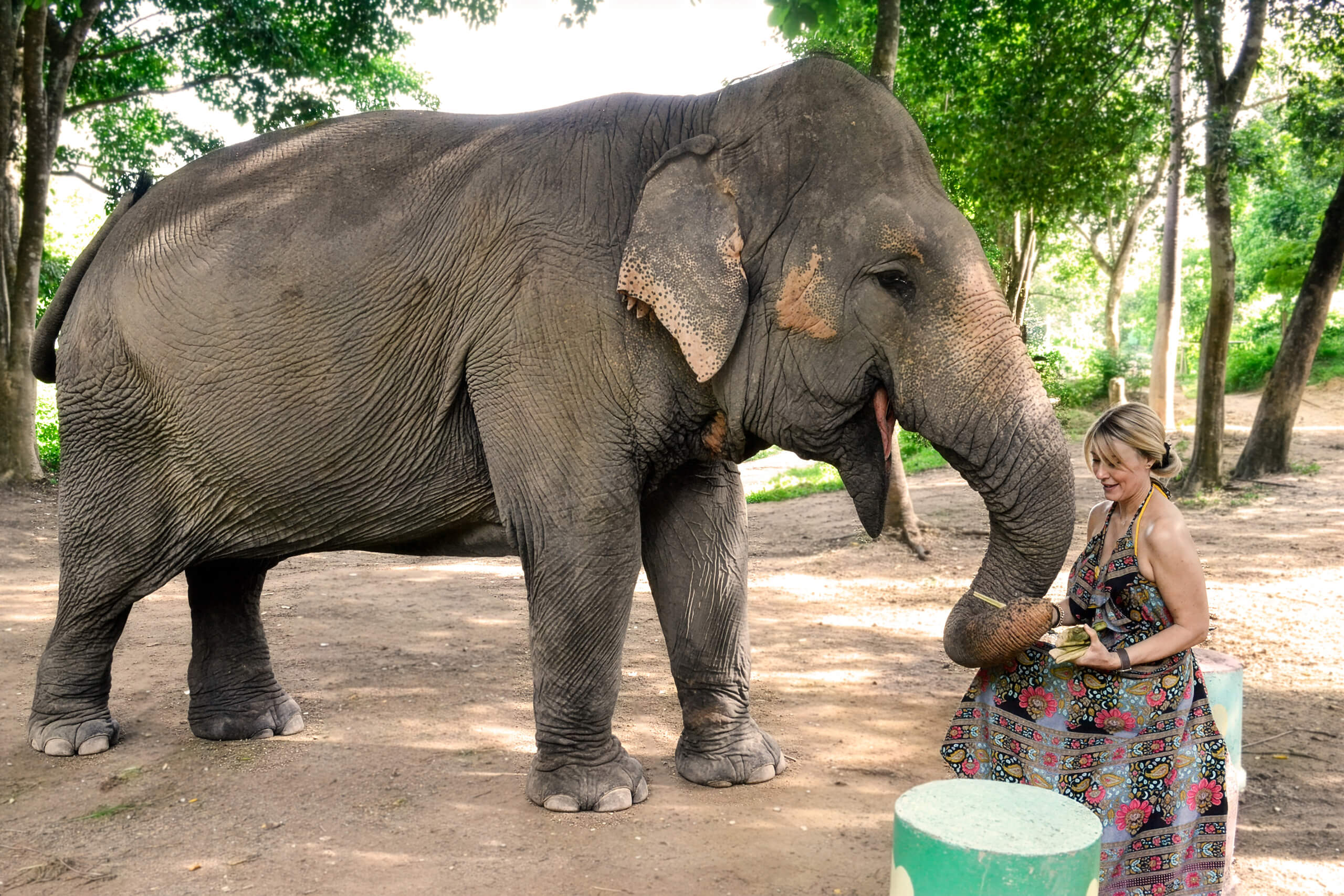 Feeding & Bathing with Love