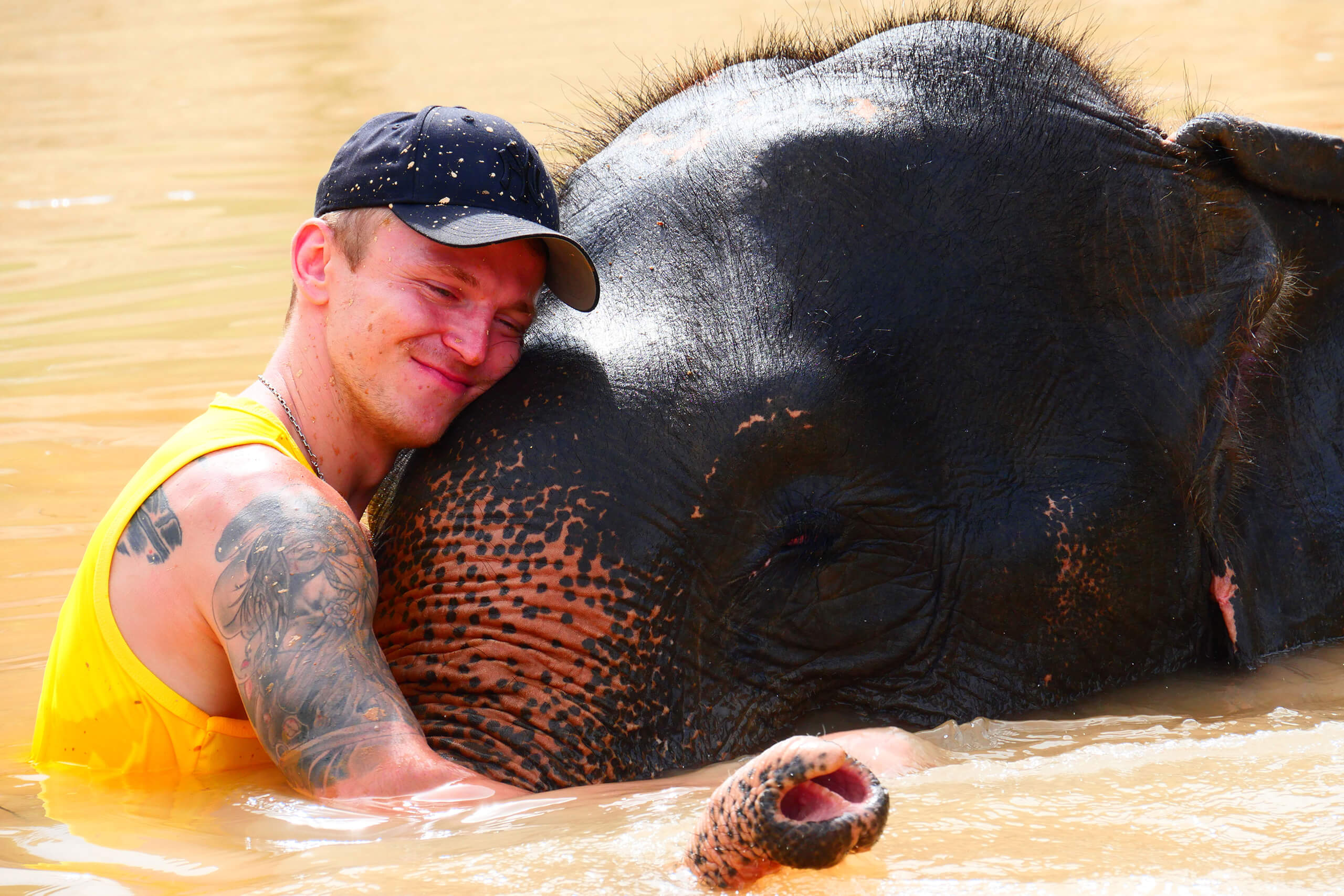 Full Day in the Elephant’s World